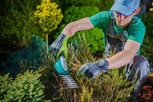 landscaping services South Paris